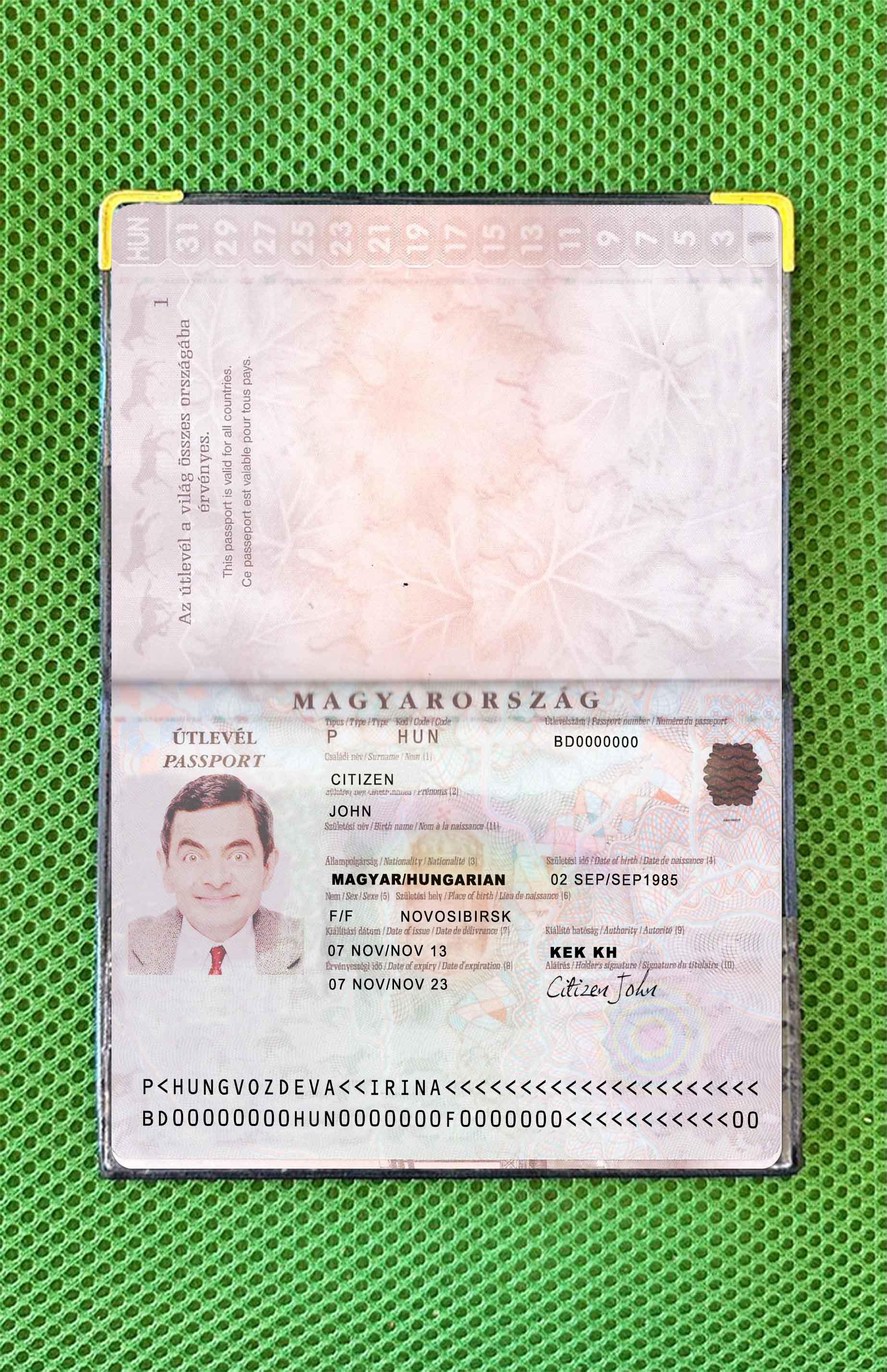 Hungary pass version 2 photo look PSD template